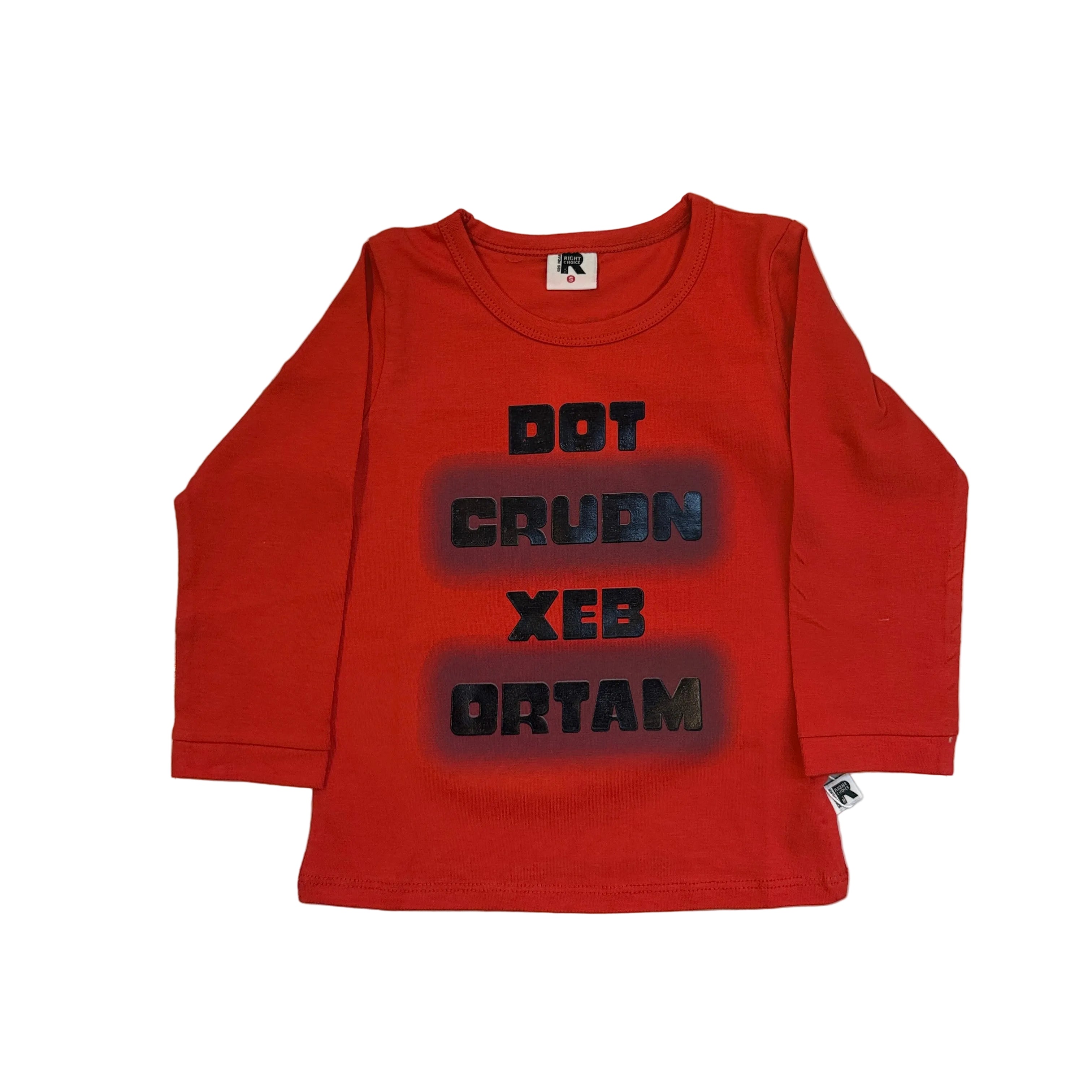 Baby boy shirt with trouser(sml)