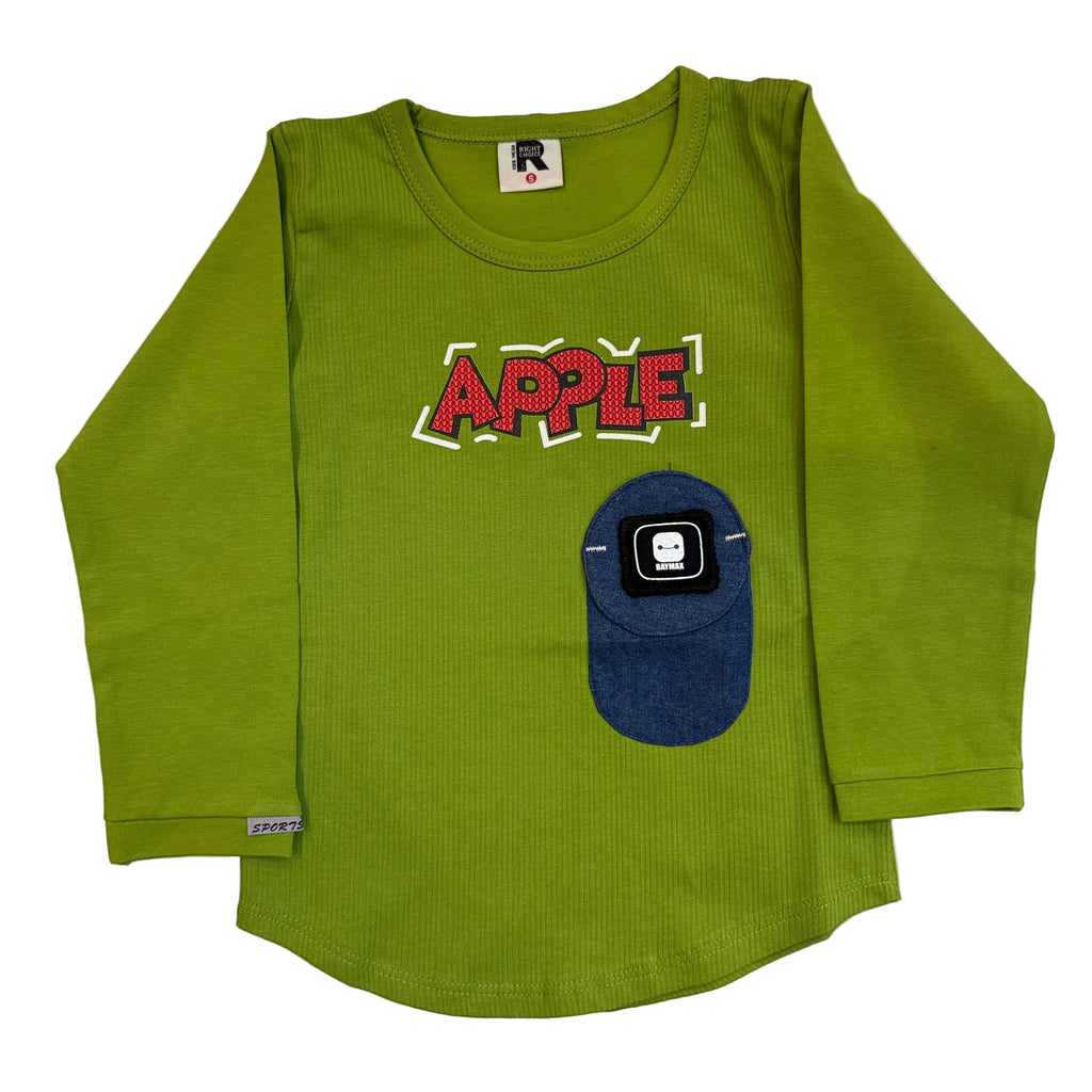 Baby boy shirt with pant(sml)